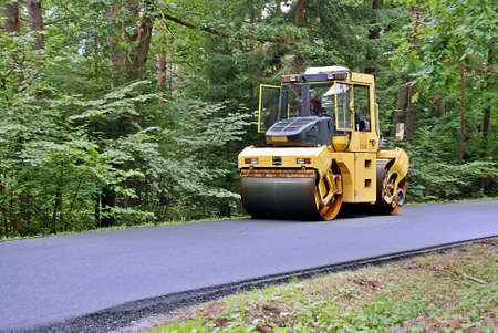 road roller in the forest