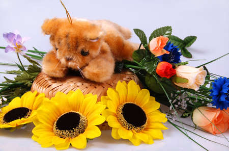 Teddy bear still life - toy is surrounded by flowers isolated on grayの写真素材