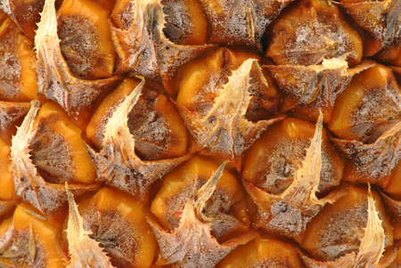Pineapple scales - natural fruit texture