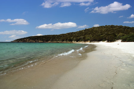  beach with white sand and crystal clear blue sea
