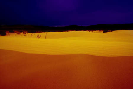 Desert after the sunset with a deep blue skyの写真素材