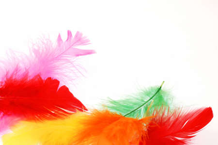 Beautiful soft feathers of various colors create merry backgroundの写真素材