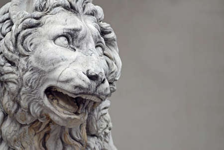 Detail of a famous lion statue  in Florence, Italyの写真素材