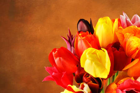 Bunch of beautiful spring flowers - colorful tulips  on a brown backgroundの写真素材