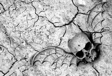 Drought means death in many parts of the world. Winged skull and cracked ground in black and white