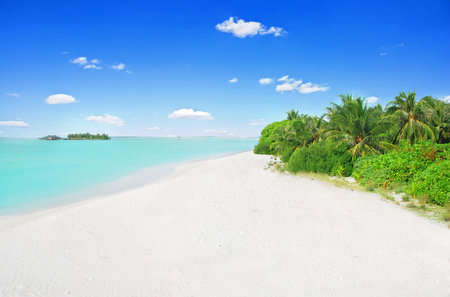 Tropical paradise in Maldives with white beach and turquoise sea from above