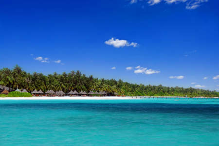 Tropical paradise in Maldives with white beach full of palms and umbrellas and turquoise seaの写真素材