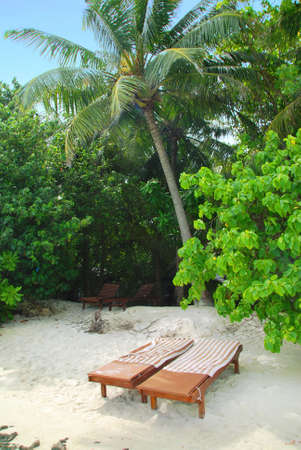 Two sun beds on the beach under tropical palms in the Maldivesの写真素材