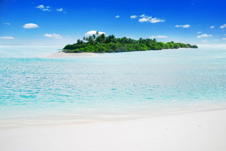 Beautiful Maldivian atoll with coconut palms seen from the white beachの写真素材