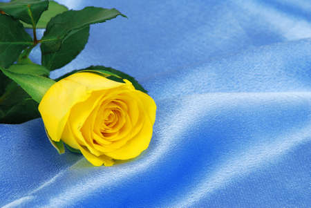 Beautiful yellow rose is laying on blue satin - good for anniversary or Valentineの写真素材