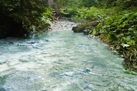 One of the many crystal clear brooks in the Slovakian paradise natural parkの写真素材