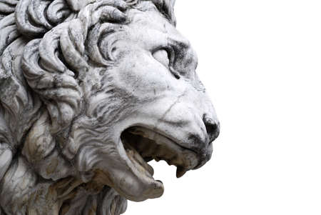 Detail of a famous lion statue  in Florence, Italy isolated on whiteの写真素材