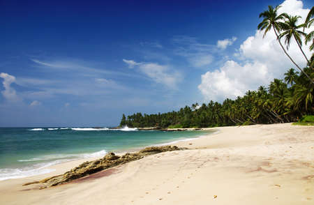 Tropical paradise on Sri Lanka with palms hanging over the white beach and turquoise seaの写真素材