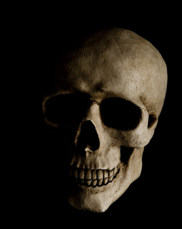Human skull with dramatic lightning is isolated on a black backgroundの写真素材