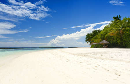 Tropical paradise in Maldives with white beach and turquoise seaの写真素材