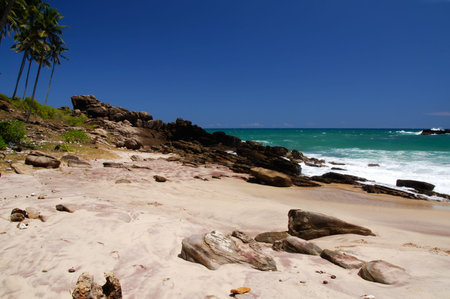 Tropical paradise in Sri Lanka, Tangalle with palms hanging over the beach and turquoise seaの写真素材