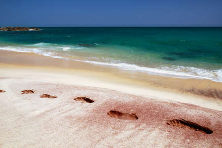 Footprints in the sand of the tropical beach of Sri Lanka near the azure seaの写真素材