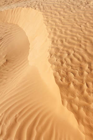 Detail of a beautiful desert sand duneの写真素材