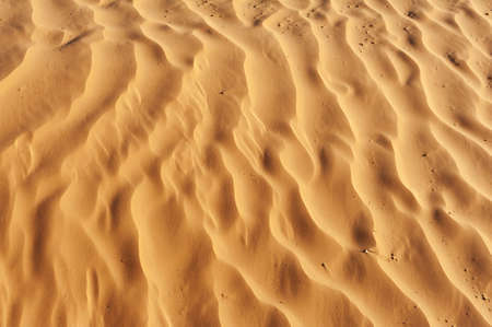 Detail of a beautiful desert sand dune