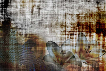 Grunge background with a vintage looking lilly flowerの写真素材