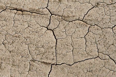 Dry ground with a net of cracks