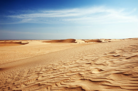 Beautiful sand dunes in the Sahara desert, Tunisiaの写真素材