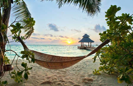 Empty hammock in the tropical beach in the Maldives at sunsetの写真素材