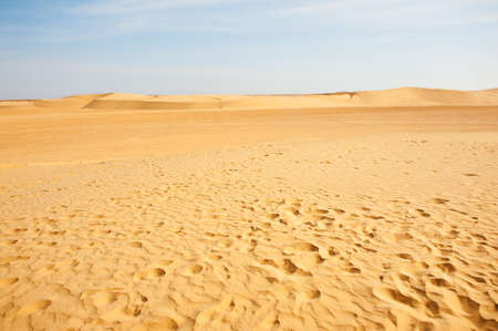 Beautiful sand dunes in the Sahara desert, Tunisiaの写真素材