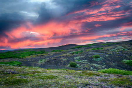 HDR image of a beautiful vivid sunset over the meadow full of blooming flowers on the Icelandの写真素材