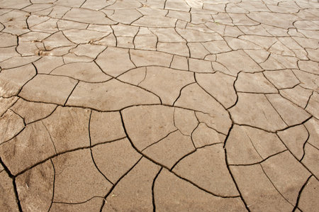 Dry ground with a net of cracks