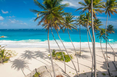 Bottom Bay is one of the most beautiful beaches on the Caribbean island of Barbados  It is a tropical paradise with palms hanging over turquoise seaの写真素材