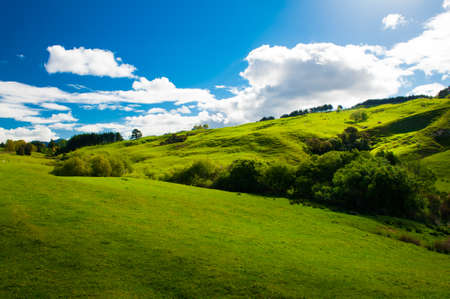 Beautiful green rolling hills of Southern New Zealand at dusk, Canterburyの写真素材