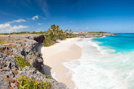Bottom Bay is one of the most beautiful beaches on the Caribbean island of Barbados. It is a tropical paradise with palms hanging over turquoise sea and a pirate cave. Panoramaの写真素材
