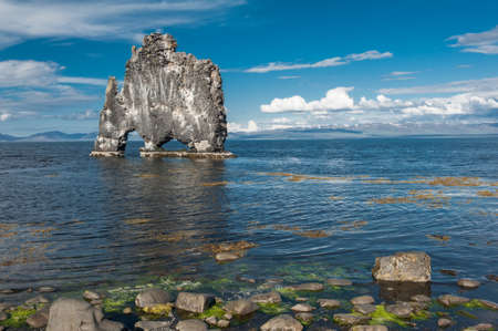 Hvitserkur is a spectacular rock in the sea on the Northern coast of Iceland. Legends say it is a petrified troll. の写真素材