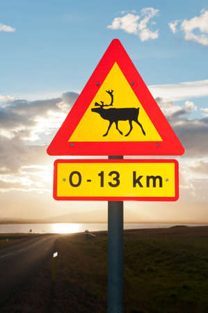 Beware of reindeers sign seen in the Icelandic fjord during sunsetの写真素材