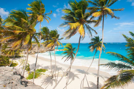 Bottom Bay is one of the most beautiful beaches on the Caribbean island of Barbados. It is a tropical paradise with palms hanging over turquoise seaの写真素材