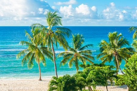 Palms on the white beach and a turquoise sea on a Caribbean island of Barbados