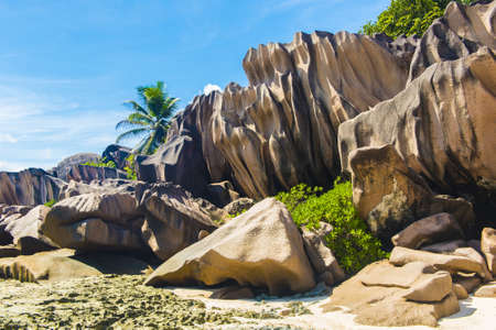 Beautifully shaped granite boulders and a perfect white sand at Grand Anse, La Digue island, Seychellesの写真素材