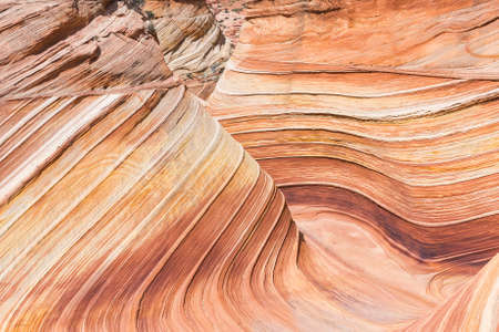The Wave is an awesome vivid swirling petrified dune sandstone formation in Coyote Buttes North. It could be seen in Paria Canyon-Vermilion Cliffs Wilderness, Arizona. USAの写真素材