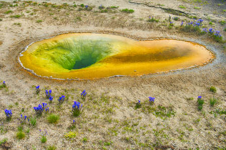 Beautiful hot spring with flowers around in Old Faithful Basin. Yellowstone National Park, Wyoming, USAの写真素材