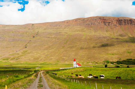 Beautiful small Icelandic church in the rural area under the mighty fjordsの写真素材