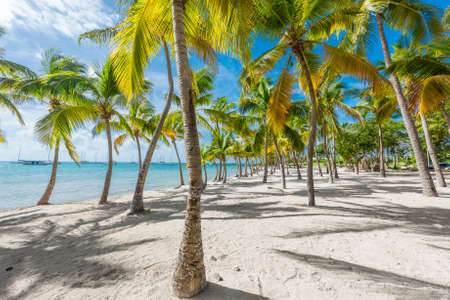 Anse Champagne beach in Saint Francois, Guadeloupe, Caribbean
