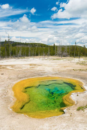 Deatiled photo of a turquoise thermal pool from above.Back Basin area at Norris Geyser Basiin. Yellowstone National Park, Wyoming, USAの写真素材