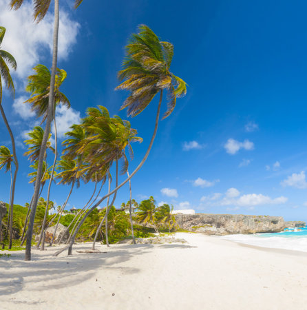 Bottom Bay is one of the most beautiful beaches on the Caribbean island of Barbados. It is a tropical paradise with palms hanging over turquoise seaの写真素材