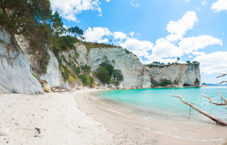 Panoramic photo of a beautiful beach at Stingray Bay at Cathedral Cove Marine Reserve, Coromandel Peninsula, New Zealand.の写真素材