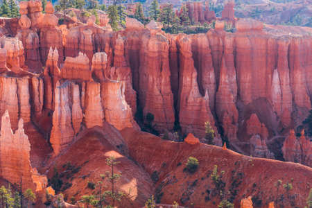 Detail of pink hoodoos in the late afternoon, Bryce Canyon National Park, Utah, USAの写真素材