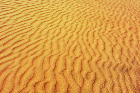Detail of a beautiful desert sand duneの写真素材