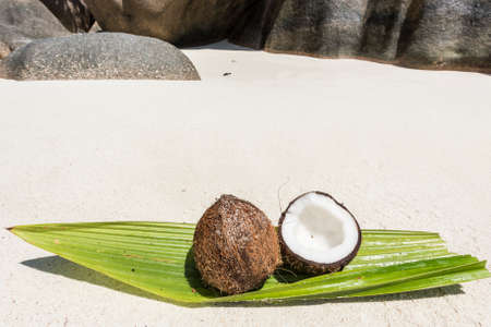 Coconut on the coconut palm leaf seen on Anse Source d'Argent beach, La Digue Island, Seychellesの写真素材