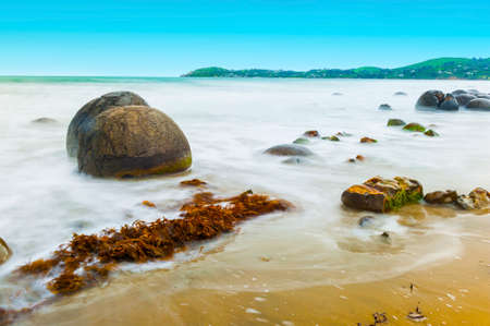 Moeraki Boulders on the Koekohe beach, Eastern coast of New Zealand.の写真素材