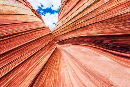 The Wave is an awesome vivid swirling petrified dune sandstone formation in Coyote Buttes North. It could be seen in Paria Canyon-Vermilion Cliffs Wilderness, Arizona. USAの写真素材